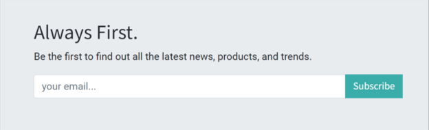 View of a sample newsletter block in the SotaERP Website application.